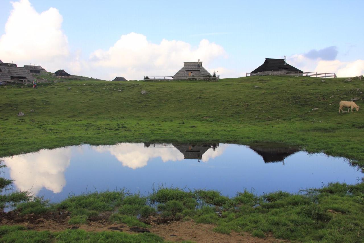 Stahovica Velika Planina Chalet Slovenka מראה חיצוני תמונה